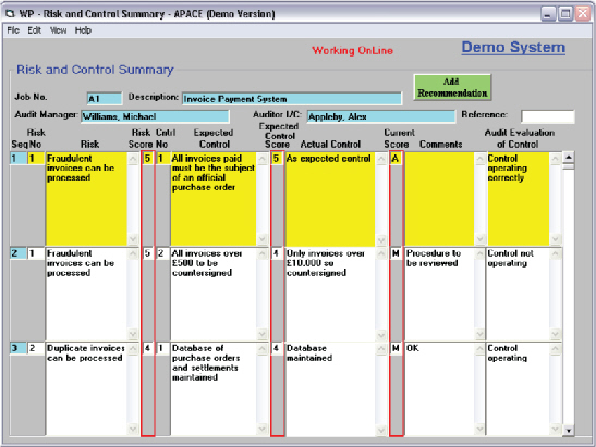 apace audit software working papers risk and control summary