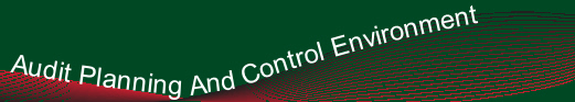 Audit Planning And Control Environment